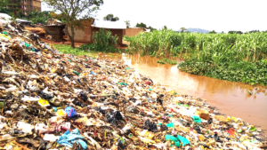 Who will save Uganda’s dying rivers?